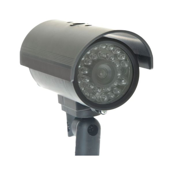Surveillance Cameras